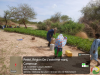 decharge arrosage amahairi 7